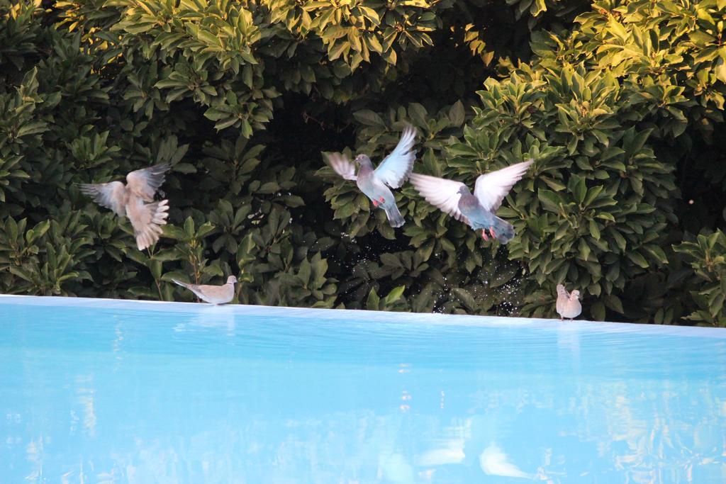 Bed and Breakfast Estrebuela House Paredes  Exterior foto